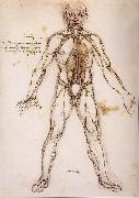LEONARDO da Vinci You branching of the Blutgefabe, anatomical figure with heart kidneys and Blutgefaben USA oil painting artist